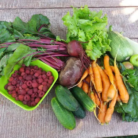 Holiday home Idylle -pyramid View