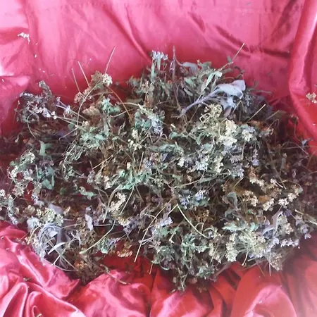 Idylle -pyramid View Holiday home Visoko