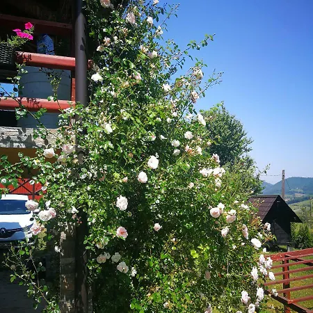 Idylle -pyramid View * Visoko