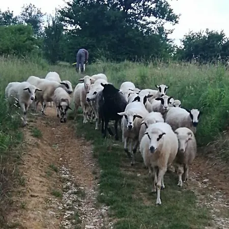 Holiday home Idylle -pyramid View *